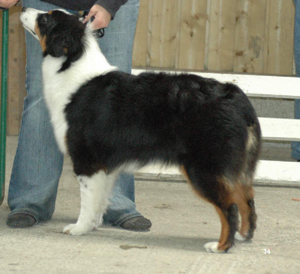 Black aninak des Gardiens d'Hadès