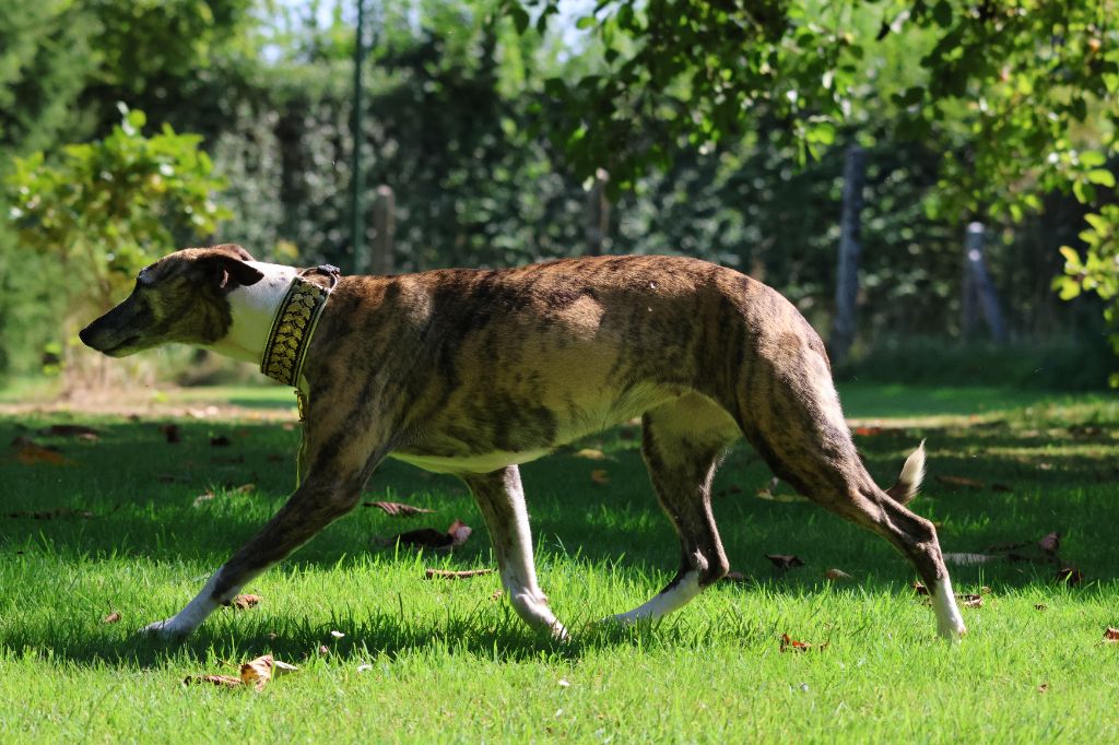 Urgande des Gardiens d'Hadès