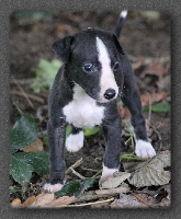 margaux 